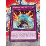 RENFORCEMENT !  ( MP24-FR354 )