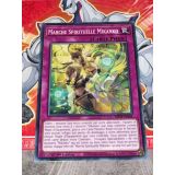 MARCHE SPIRITUELLE MIKANKO ( MP24-FR384 )