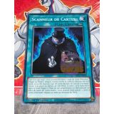 SCANNEUR DE CARTES ( MP24-FR396 )