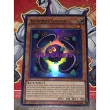 KURIBOH LIMPIDE ( MVP1-FR047 )