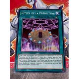 RITUEL DE LA PREDICTION ( OP02-FR025 )