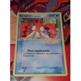 ECRAPINCE DE TEAM AQUA 40 PV ( 50/95 )