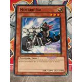 MOTARD RAI ( PHSW-FR003 )