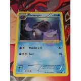 CARAPAGOS 90PV (25/101)