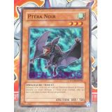 PTERA NOIR ( POTD-FR018 )