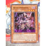 BUSHI IMMORTEL ( PTDN-FR029 )