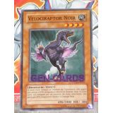 VELOCIRAPTOR NOIR ( PTDN-FR033 )