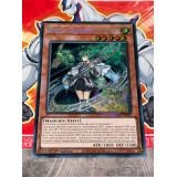 WYNN LA CANALISATRICE DE VENT ( RA01-FR018 ) SECRET RARE