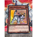 CHAT SAUVETEUR NEW ARTWORK ( RA02-FR001 ) SUPER RARE