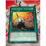 ARMES NOBLES - GALLATIN ( REDU-FR086 )