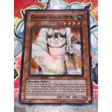 GARDIEN KOA'KI MEIRU ( RGBT-FRPP3 )