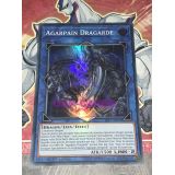 AGARPAIN DRAGARDE ( SAST-FR053 )