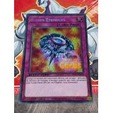 RUINES ETENDUES SECRET RARE ( SBC1-FRD20 )