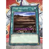 TERRE DEVASTEE ( SBLS-FR036 )