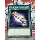 CADEAU DE L ELEPHANT BLANC ( SBLS-FR040 )