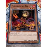 FLORAISON DE FEU ( SDBT-FR013 )