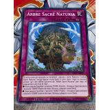 ARBRE SACREEE NATURIA ( SDBT-FR037 )