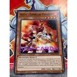 HIITA FAMILIER POSSEDE ( SDCH-FR039 )