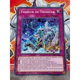 TERREUR DE TRISHULA ( SDFC-FR046 )