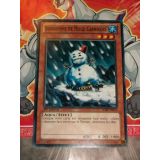 BONHOMME DE NEIGE CARNIVORE ( SDRE-FR016 )