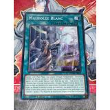 MAUSOLEE BLANC ( SDWD-FR023 )