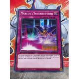 MUR DE L INTERRUPTION ( SGX1-FRC20 )