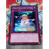 CERCLE D ENCHANTEMENT DE PIKERU ( SGX2-FRE09 )