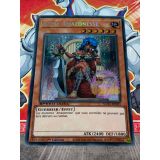 REINE AMAZONESSE SECRET RARE ( SGX3-FRD01 )