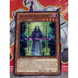 DRUIDE DRU SECTE SECRETE ( SHSP-FR009 )