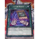 PLAQUE DE FUSION ( SHVI-FR066 )