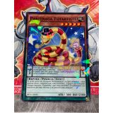 PARTENAGA POTARTISTE SHATTERFOIL ( SP15-FR025 )