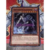 RAVISSEUR ILLUSOIRE ( SR01-FR016 )