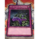 NID DES INSECTES PIQUANTS ( SR02-FR037 )