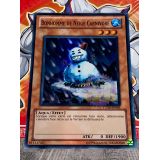 BONHOMME DE NEIGE CARNIVORE ( TU05-FR003 )