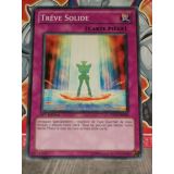 TREVE SOLIDE ( YS11-FR040 )