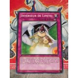 INVERSEUR DE LIMITE ( YS12-FR037 )