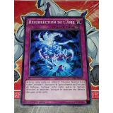 RESURRECTION DE L AME ( YS14-FR037 )